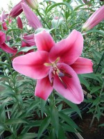 [4157 Campaign Mak No102.JPG]